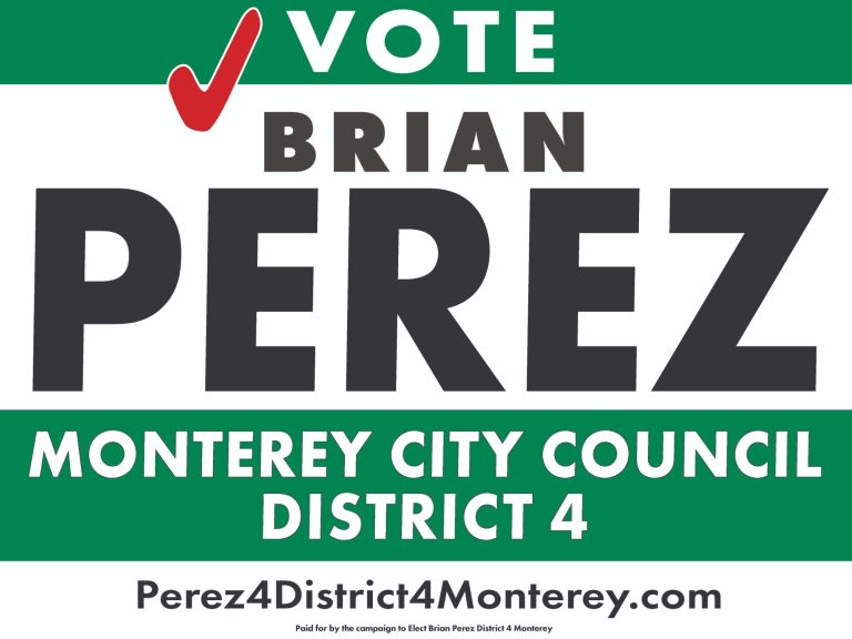 Vote Brian Perez District 4